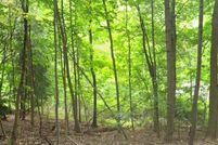 Land for sale in Montgomery County, New York