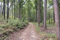Land for sale in Talladega County, Alabama
