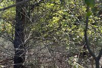 Land for sale in Shelby County, Alabama