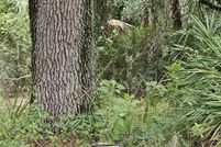 Land for sale in Okeechobee County, Florida