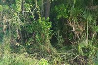 Land for sale in Brevard County, Florida