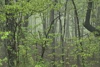 Farm and Ranch for sale in Marion County, Tennessee