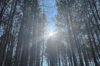 Undeveloped Land for sale in Marion County, Tennessee