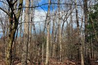 Undeveloped Land for sale in Cumberland County, Tennessee