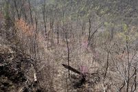 Farm and Ranch for sale in Marion County, Tennessee