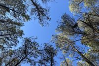 Land for sale in Marion County, Tennessee