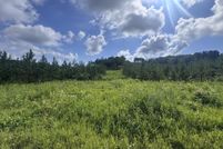 Land for sale in Monroe County, Tennessee