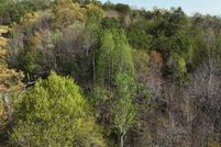 Land for sale in McMinn County, Tennessee