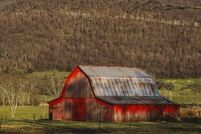 Land for sale in Bledsoe County, Tennessee