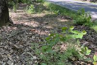 Land for sale in McMinn County, Tennessee