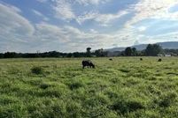 Farm and Ranch for sale in Bledsoe County, Tennessee