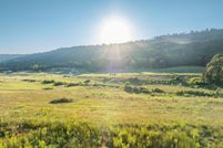 Undeveloped Land for sale in Dade County, Georgia