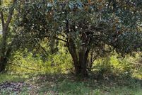 Land for sale in Bamberg County, South Carolina