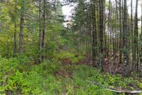 Land for sale in Burnett County, Wisconsin