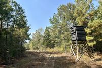 Land for sale in Lowndes County, Mississippi