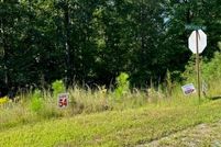 Undeveloped Land for sale in Gilmer County, Georgia