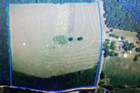 Land for sale in Geneva County, Alabama