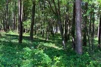 Undeveloped Land for sale in Brunswick County, North Carolina