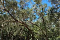Land for sale in Citrus County, Florida