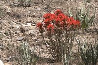 Land for sale in Elko County, Nevada