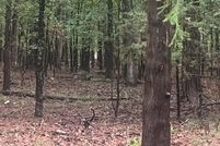 Land for sale in Cleburne County, Arkansas