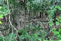 Land for sale in Meigs County, Tennessee