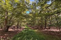 Land for sale in Surry County, North Carolina