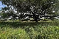 Land for sale in Medina County, Texas