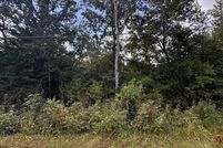 Undeveloped Land for sale in Van Zandt County, Texas