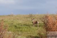 Land for sale in Yellowstone County, Montana