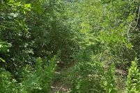 Land for sale in Grayson County, Texas