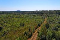 Undeveloped Land for sale in Prince Edward County, Virginia