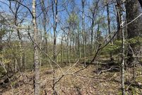 Timberland Property for sale in Lincoln County, Missouri