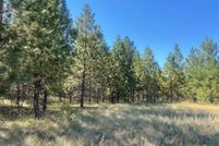 Undeveloped Land for sale in Lake County, Montana