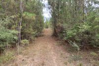 Land for sale in Greene County, Mississippi
