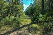Land for sale in Amite County, Mississippi