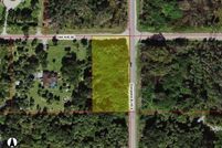 Undeveloped Land for sale in Collier County, Florida