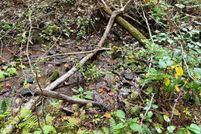 Land for sale in Jackson County, North Carolina