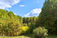 Undeveloped Land for sale in Wilson County, North Carolina