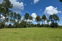 Undeveloped Land for sale in Pearl River County, Mississippi