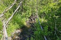 Homesite for sale in Rio Grande County, Colorado