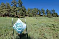 Land for sale in Archuleta County, Colorado