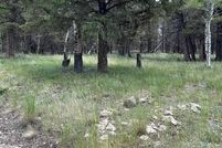 Homesite for sale in Gunnison County, Colorado