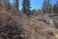 Land for sale in Archuleta County, Colorado