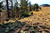 Homesite for sale in Gunnison County, Colorado