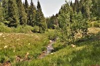 Timberland Property for sale in Montrose County, Colorado