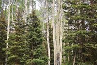 Land for sale in Gunnison County, Colorado