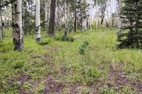 Land for sale in Gunnison County, Colorado
