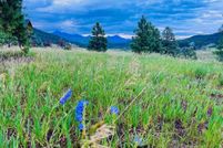 Land for sale in Archuleta County, Colorado