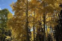 Land for sale in Dolores County, Colorado